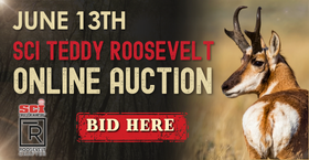 SCI Teddy Roosevelt Auction