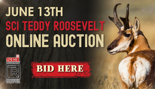 SCI Teddy Roosevelt Auction