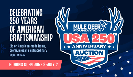 MDF's Summer Auction: America's 250th Anniversary