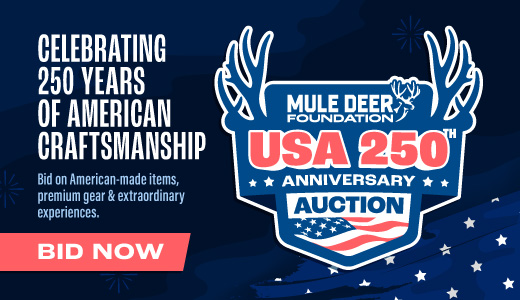 MDF's Summer Auction: America's 250th Anniversary