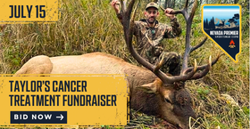 Taylor’s Cancer Treatment Fundraiser