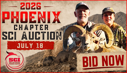2026 Phoenix Chapter SCI Auction