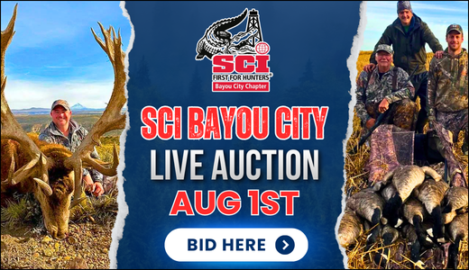 2026 SCI Bayou City Auction