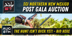 Post Gala Auction