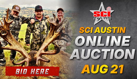SCI Austin Online Auction