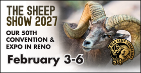 The Sheep Show 2027