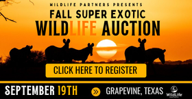 WildLife Partners Fall Super Exotic Wildlife Auction