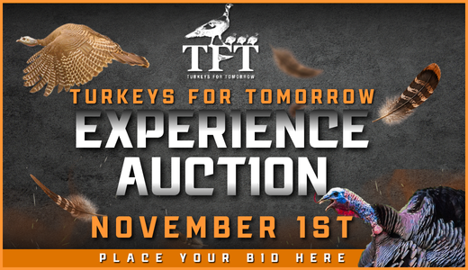 Turkeys for Tomorrow Experience Auction