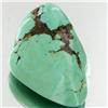 41.55ct Green Turquoise Freeform Cabochon (GEM-33789)