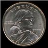 2000P Sacagawea MS67+ ERROR (COI-8695)