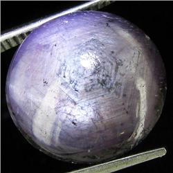 13.55ct Natural Star Ruby Well Patterned  (GEM-32104)