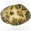 Image 1 : 3665ct Crystal Agate Geode Cut Slab (MIN-000040)