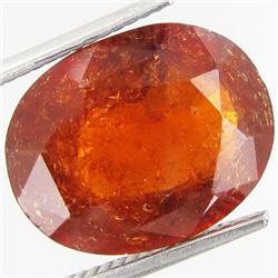 9.85ct Natural Hessonite Garnet (GEM-29431)