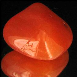 24.75ct Carnelian Freeform Cabochon (GEM-34089)