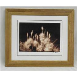 2009 Original Photograph by Paul Elliott