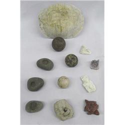 Collection of NM Findings Plus