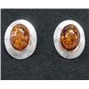Image 1 : Native American Navajo Amber Earrings-Danetdale