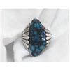 Image 1 : Native American Sterling and Turquoise Ring