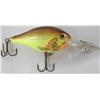 Image 4 : Fishing Lures Plus