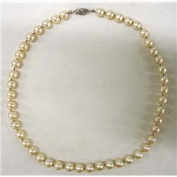 Akoya Japanese Pearl Necklace.