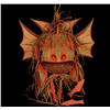 Image 1 : Kwakwaka'wakw Red Snapper Mask Carved by Simon James 22" H. 19 1/2" W.  Fine Condition