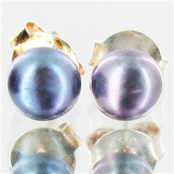 Black Pearl Stud Earrings (JEW-1827)