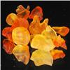 Image 1 : 10.85ct Fire Opal Rough Parcel (GEM-35557)