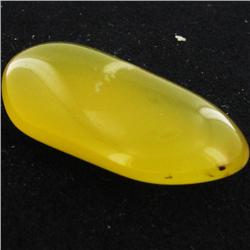 24.6ct Yellow Opal Freeform Cabochon (GEM-34330)