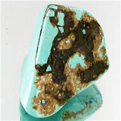 38.45ct Green Turquoise Freeform Cabochon (GEM-33815)