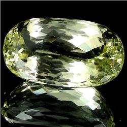 46.95ct Natural Patroke Deep Green Kunzite (GEM-28231)