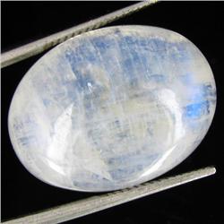 23.35ct Vibrant Color Moonstone Cabochon (GEM-31999)