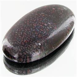 55ct Dinosaur Bone Cabochon (GEM-35315)