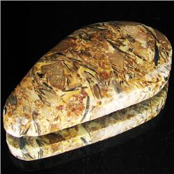 72.99ct Rare Desert Agate Cabochon (GEM-33127)