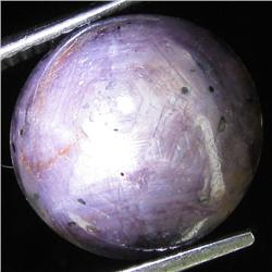 18.00ct Natural Star Ruby Well Patterned  (GEM-32091)