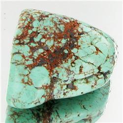 41.65ct Green Turquoise Freeform Cabochon (GEM-33787)