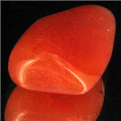 18.2ct Carnelian Freeform Cabochon (GEM-34090)