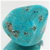 Image 1 : 55.6ct Blue Mex. Turquoise Freeform Cabochon (GEM-33828)