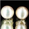 Image 1 : Purple Peach Pearl Stud Earrings (JEW-1826)