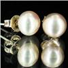 Image 2 : Purple Peach Pearl Stud Earrings (JEW-1826)