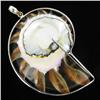 Image 1 : 135twc Filled Nautilus Sterling Pendant (JEW-3438)
