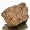 Image 1 : 11.7g Unwa Stone Meteorite (MIN-000502)