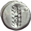 Image 2 : Lucania, Metapontum   Nomos, V-IV secolo a.C.