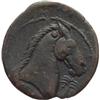 Image 2 : Sardegna Punica   AE 20mm. 300-264 a.C.