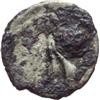 Image 2 : C. Considius Paetus Sesterzio, 46 a.C.