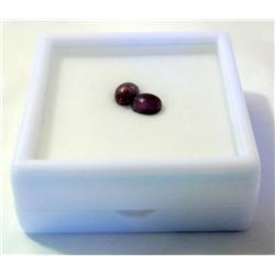 Lot-(2) 1.5CT  African Star Ruby's Loose Gemstones