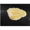 Image 3 : 4 pc Tortoise Shell lot