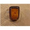 Image 1 : 1 pc Sterling & Amber ring