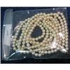 Image 2 : 500. 52" Strand of Simulated Pearls.