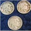Image 1 : 733. 1916P VG. 19P F, & 20P VF Buffalo Nickels.