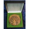 1118. 1973 Calendar Medal. High Relief. Bronze. In case.